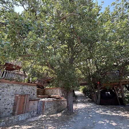 B & B Le Casette Sull'Albero Di Villa Alba Messina Bagian luar foto