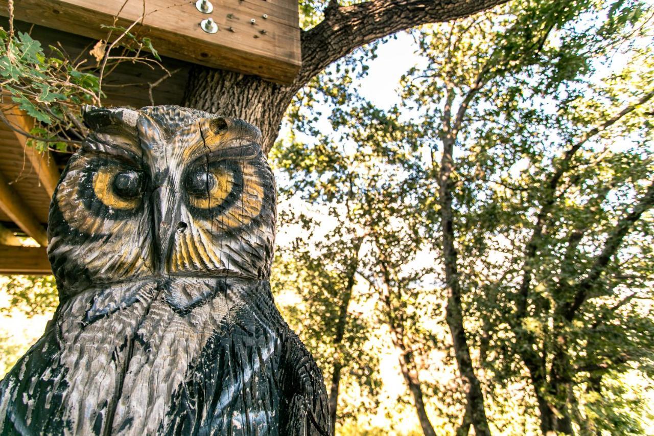 B & B Le Casette Sull'Albero Di Villa Alba Messina Bagian luar foto