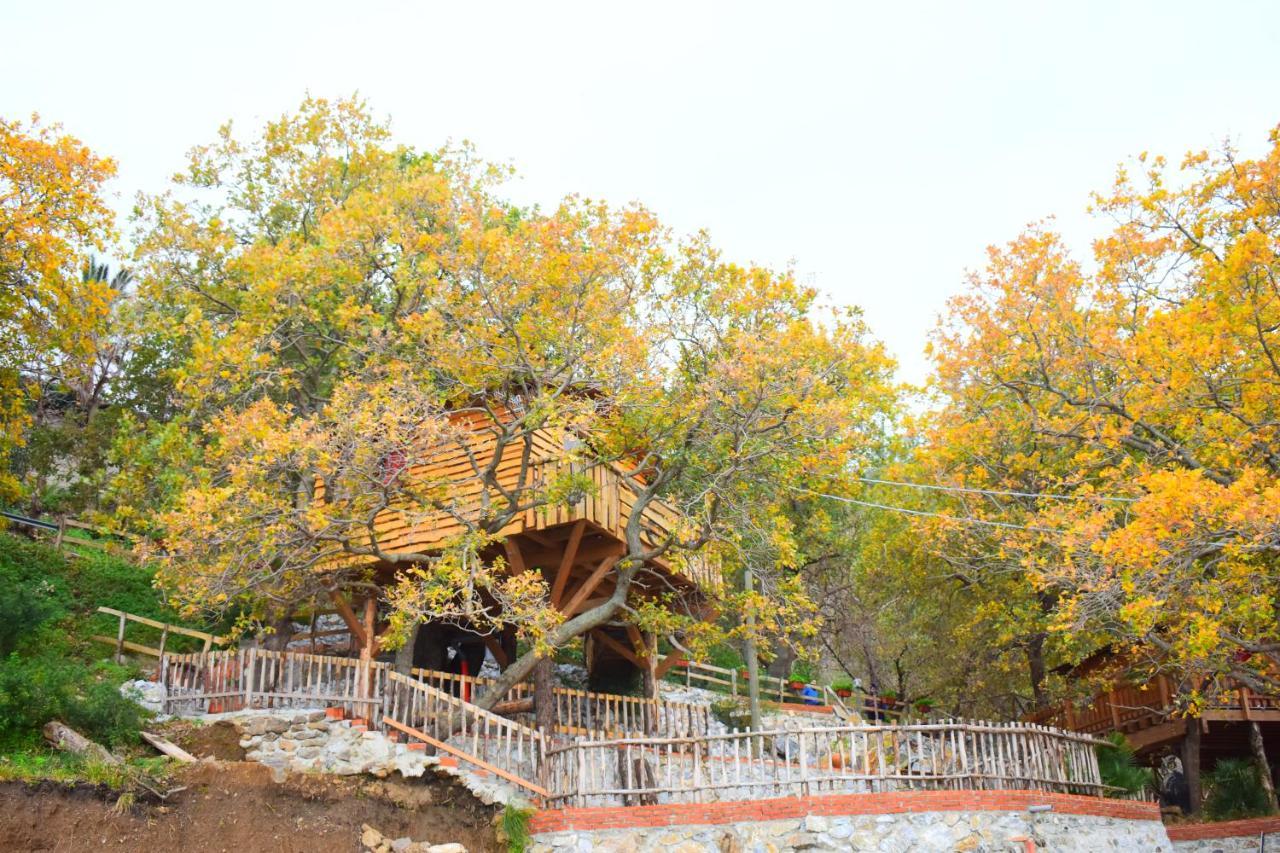 B & B Le Casette Sull'Albero Di Villa Alba Messina Bagian luar foto
