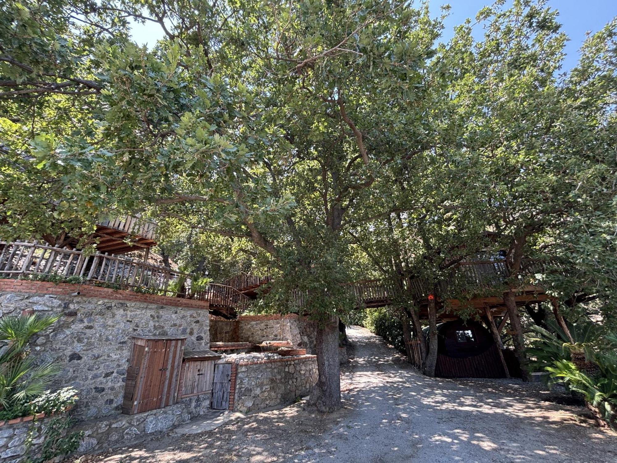 B & B Le Casette Sull'Albero Di Villa Alba Messina Bagian luar foto